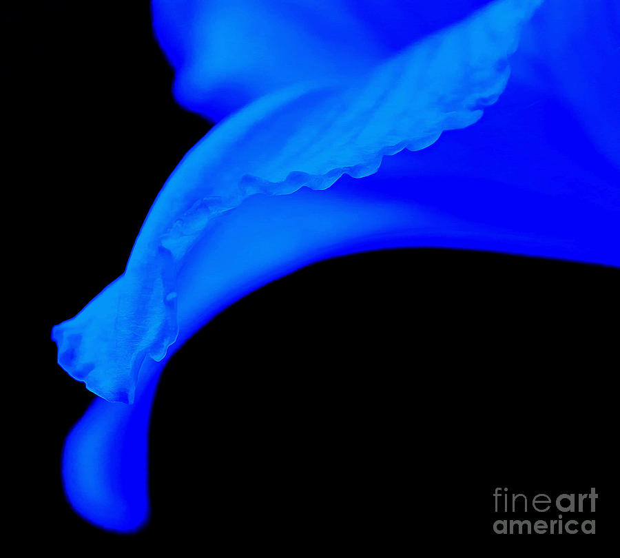 Emotion In Blue Photograph by Krissy Katsimbras