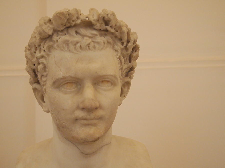 Domitian Photograph - Emperor Domitian by Muddy Archaeologist