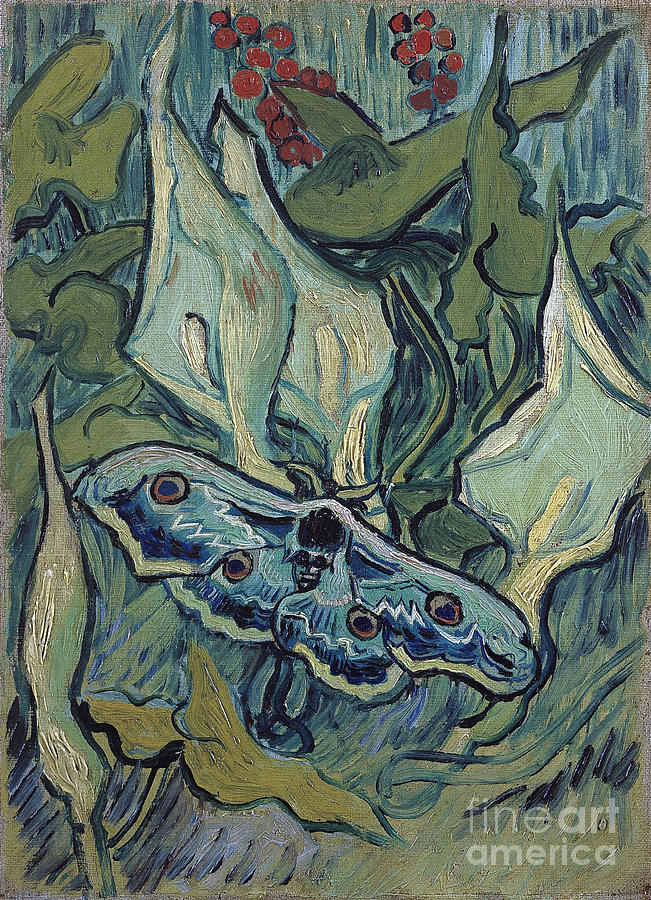 Emperor moth Painting by Van Gogh