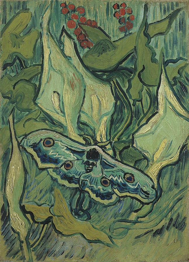 Emperor Moth, from 1889 Painting by Vincent van Gogh Emperor Moth, from 1889 Painting by Vincent van Gogh