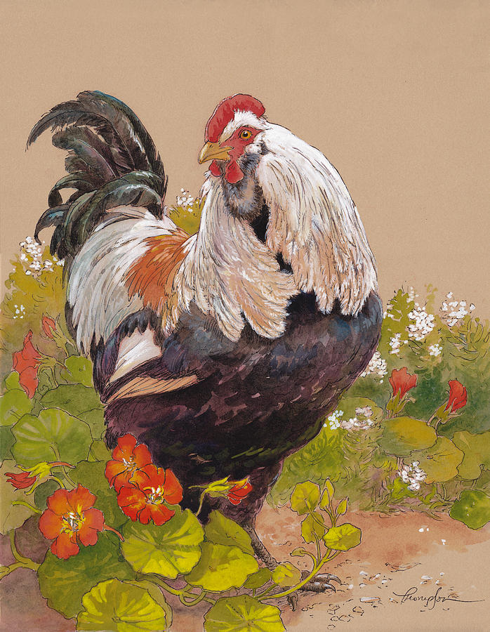 Chicken Painting - Emperor Norton by Tracie Thompson
