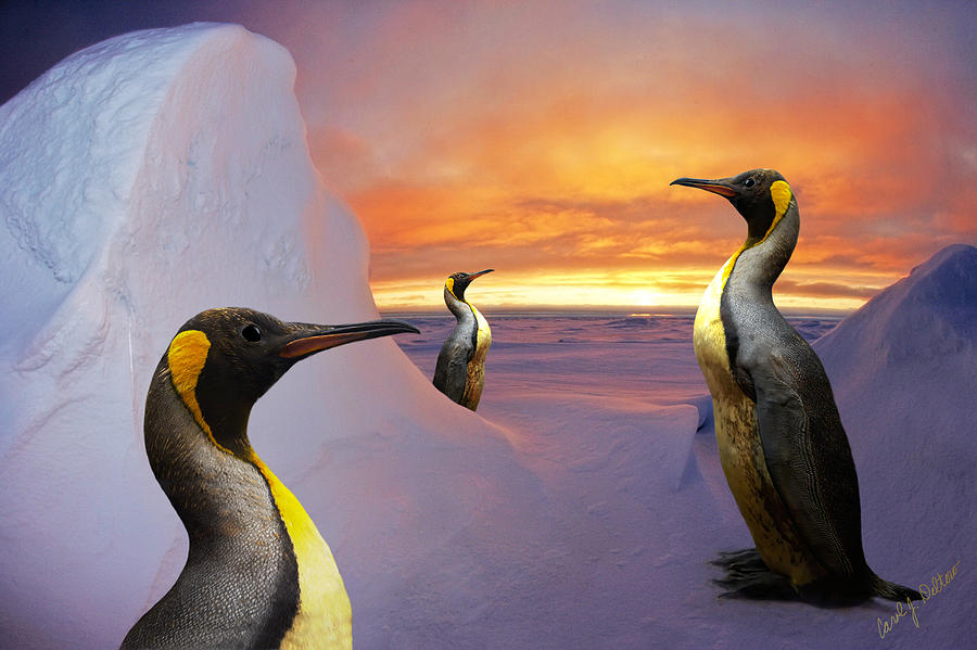 Emperor Penguins Photograph
