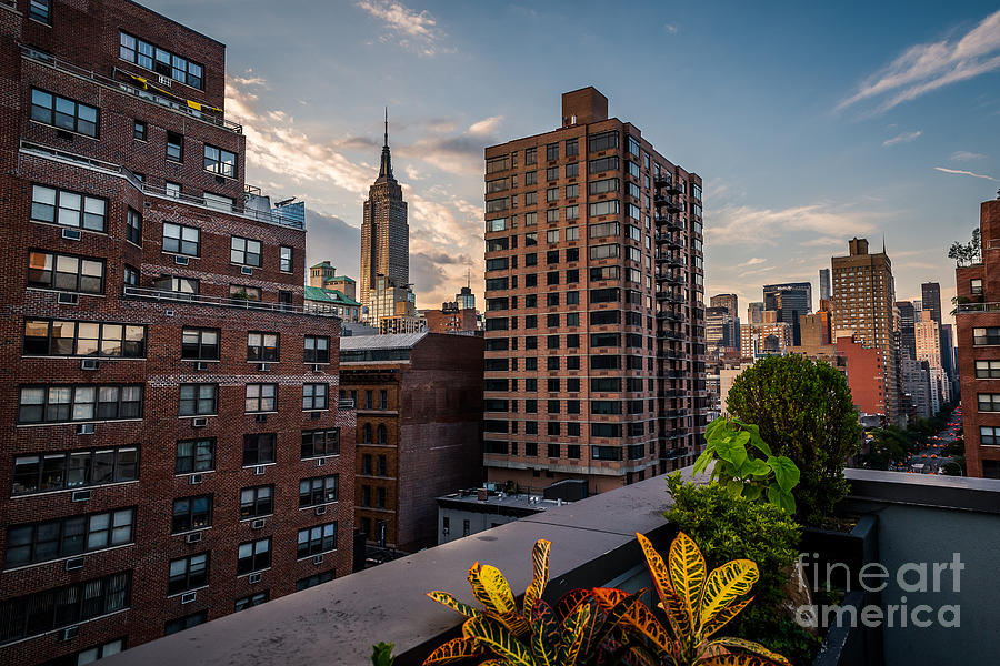 New York City Photograph - Empire State Building Sunset Rooftop Garden by Alissa Beth Photography