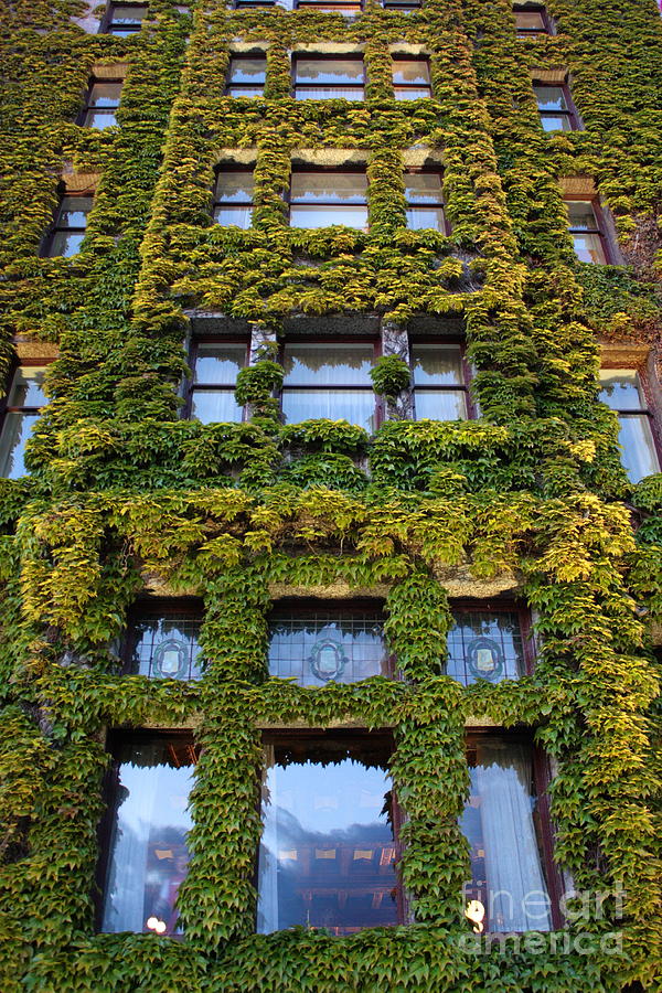 Empress Hotel Windows Photograph by Carol Groenen