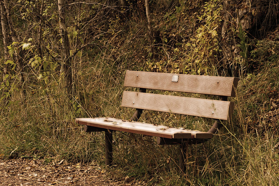 Empty Photograph by Ben Zell - Fine Art America