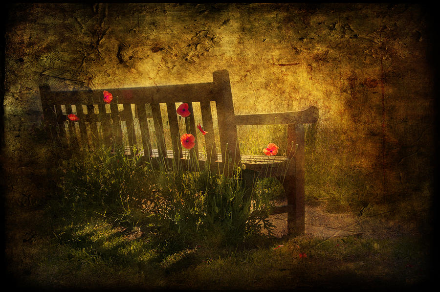 Empty Bench and Poppies Digital Art by Svetlana Sewell