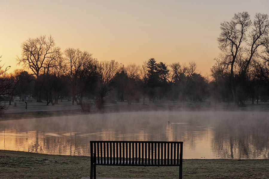 Empty Bench at Misty City Park Lake Photograph by Philip Rodgers