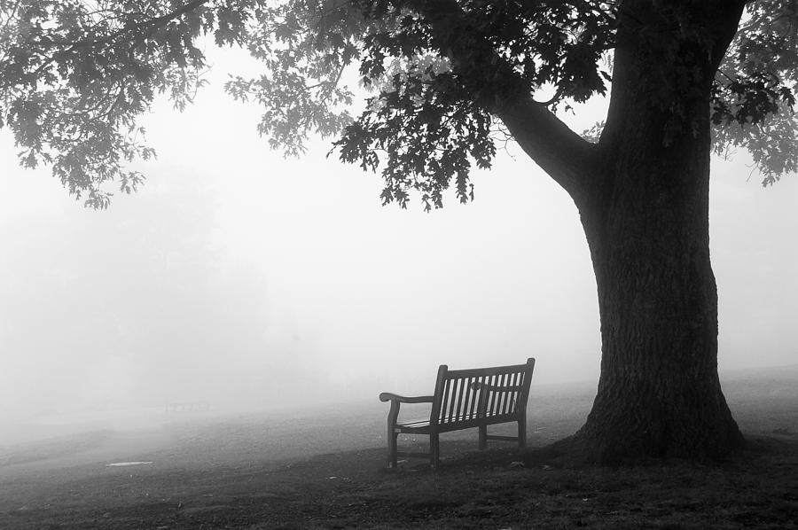 Empty Bench Photograph by Monte Stevens