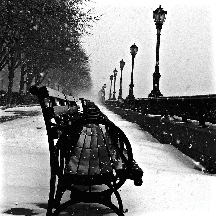 Empty Benches in the Snow Photograph by Debra Banks