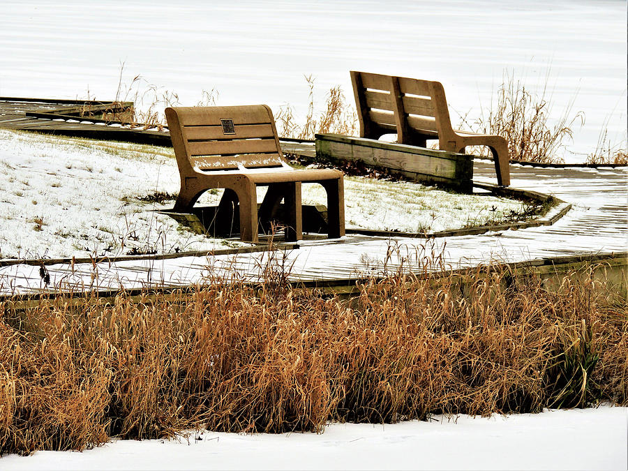 Empty Benches In Winter Photograph