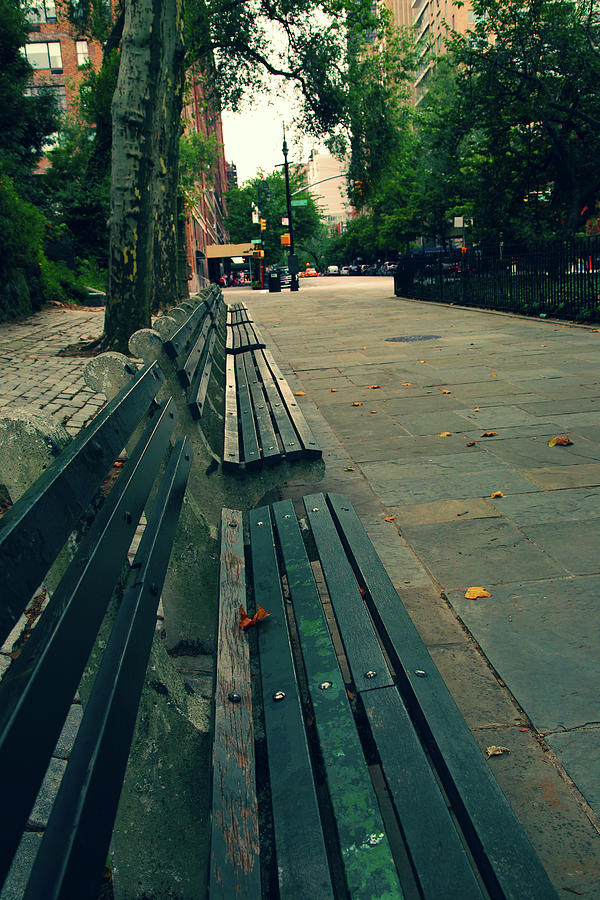 Empty Benches Photograph by Karol Livote