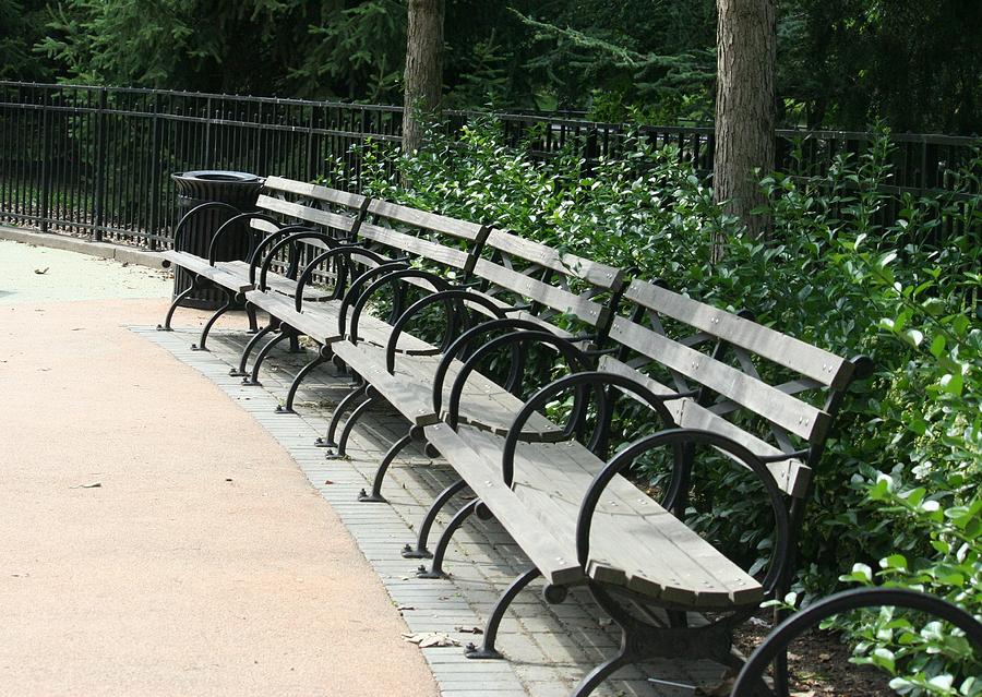 Empty Benches  Photograph by Magda Levin