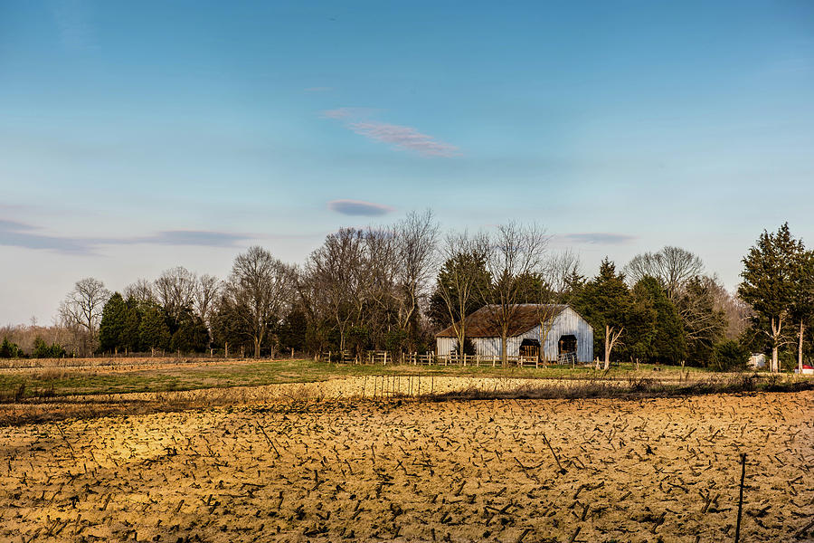 Empty Fields Photograph by Cynthia Wolfe