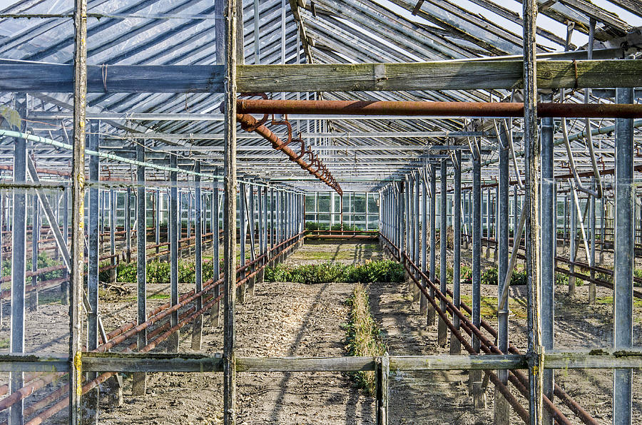 Empty Greenhouse Photograph by Frans Blok