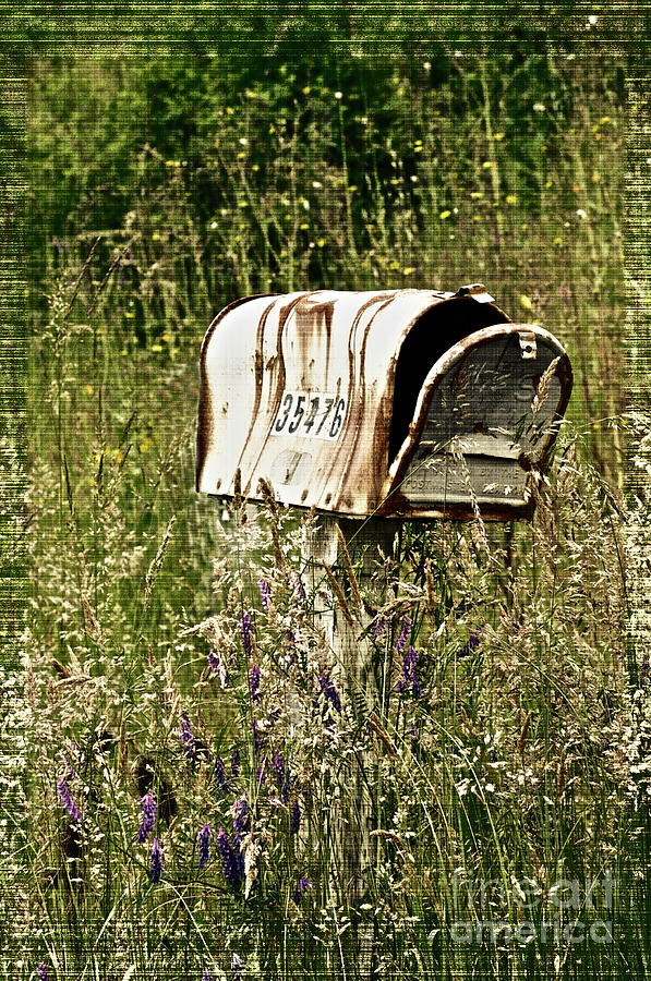 Empty Mailbox at 35476 Photograph by Gwyn Newcombe
