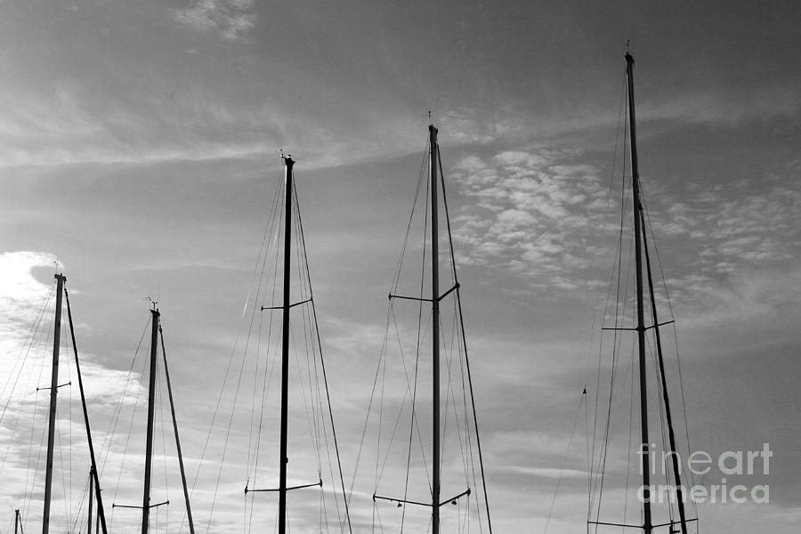 Empty Masts Photograph by Robert Wilder Jr