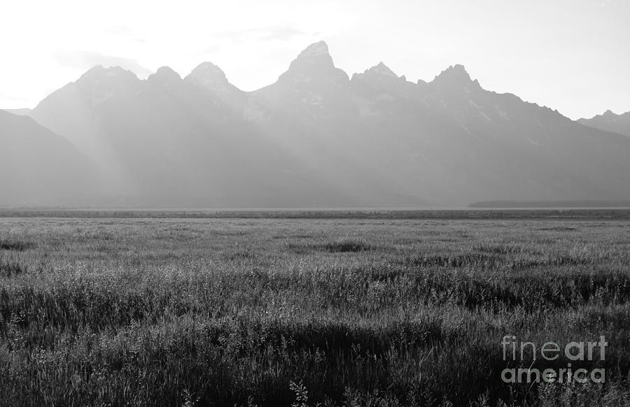 Empty Meadow Beneath Grand Teton Mountain Range Outdoor Western Scenic Wyoming Black and White Photograph by Shawn OBrien