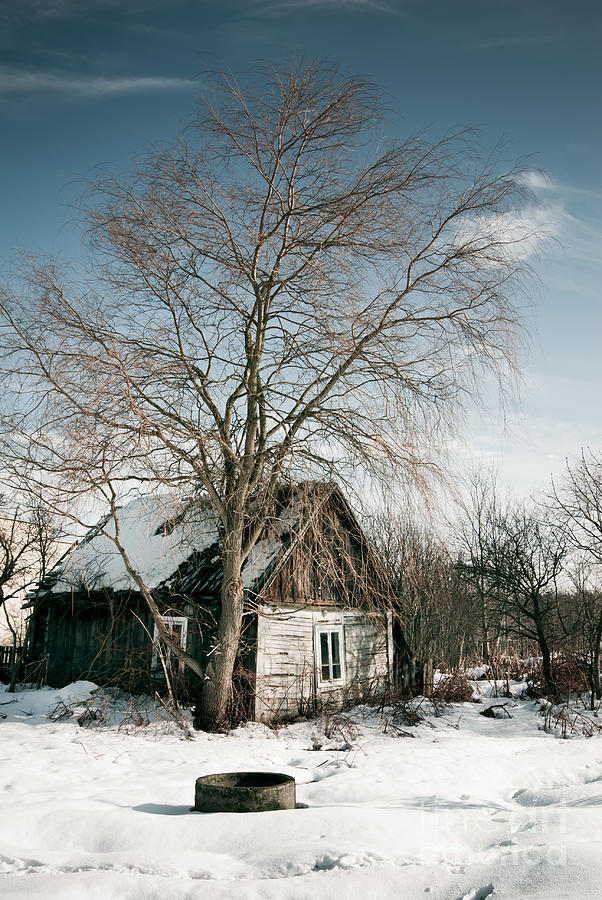 Empty Old Wooden House In Winter Photograph