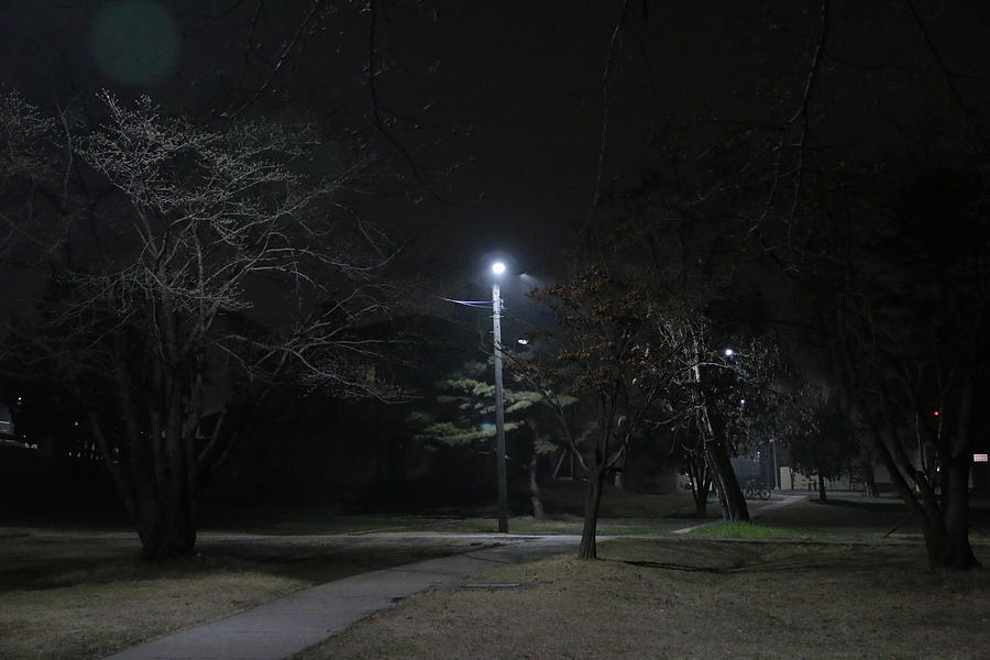 Empty Park Photograph by Hyuntae Kim