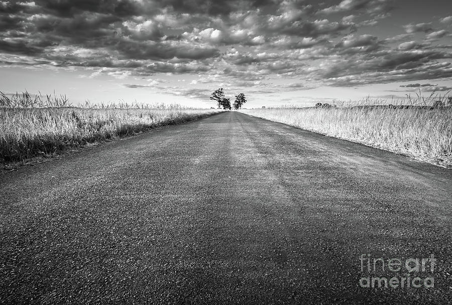 Transportation Photograph - Empty straight long asphalt road. Black and white by Michal Bednarek