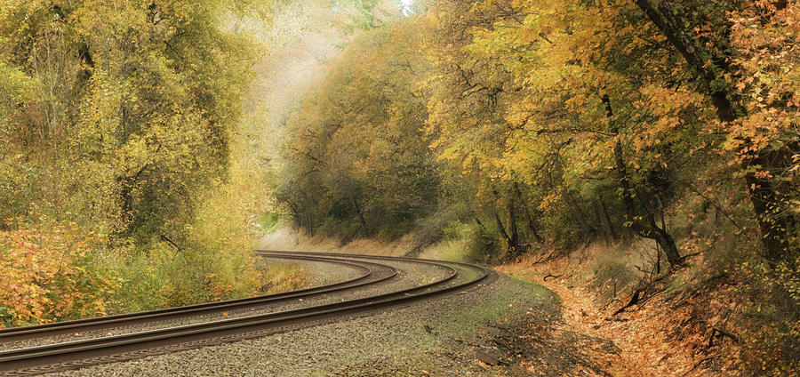 Empty Tracks Photograph by Angie Vogel