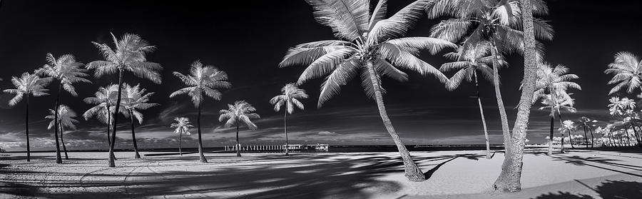 Tree Photograph - Empty Waikiki Beach by Sean Davey