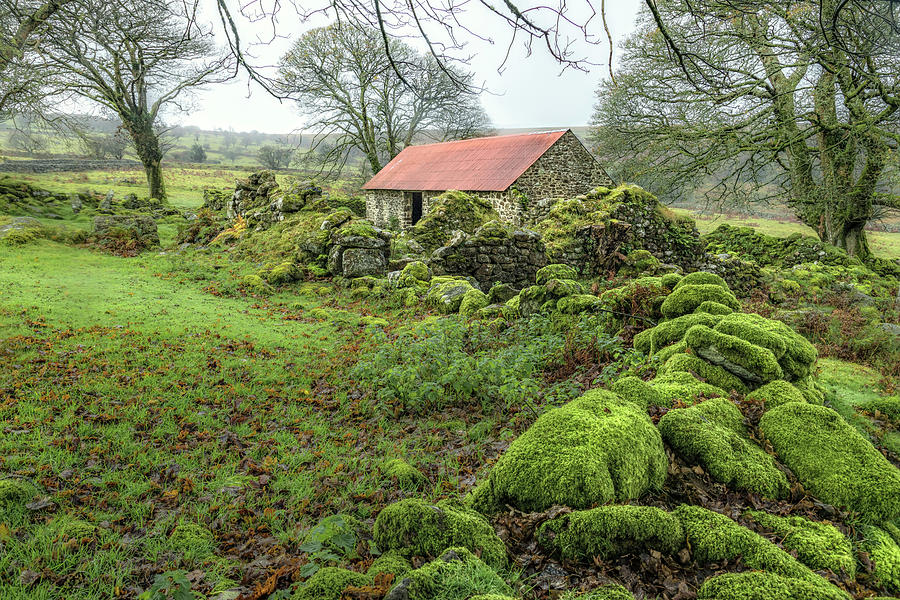 Nature Photograph - Emsworthy Farm - Dartmoor by Joana Kruse