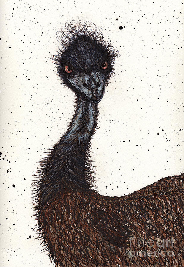 Emu Attitude Drawing by Jay Kuhne - Pixels