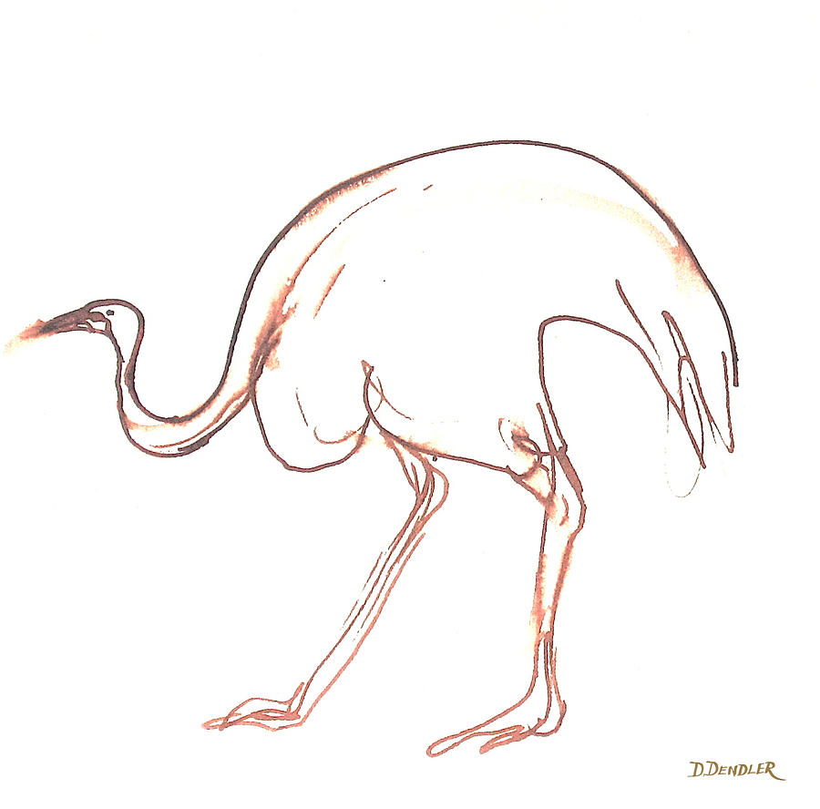 Animal Drawing - Emu by Deborah Dendler