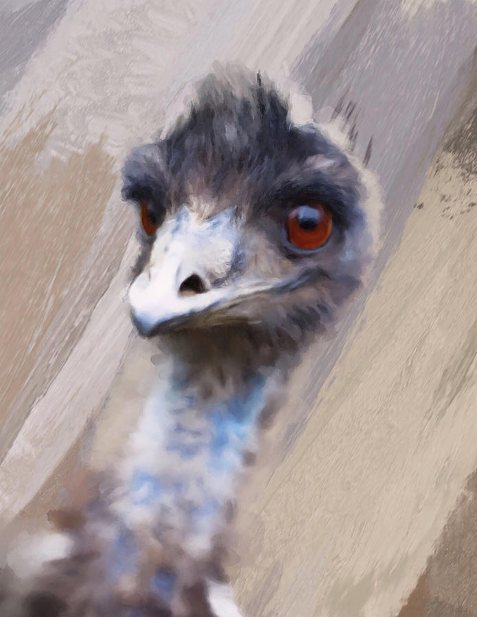 Ostrich Digital Art - Emu by Gillian Dernie Ostrich Digital Art - Emu by Gillian Dernie