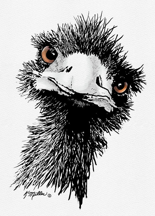 Emu Digital Art by Kathie Miller