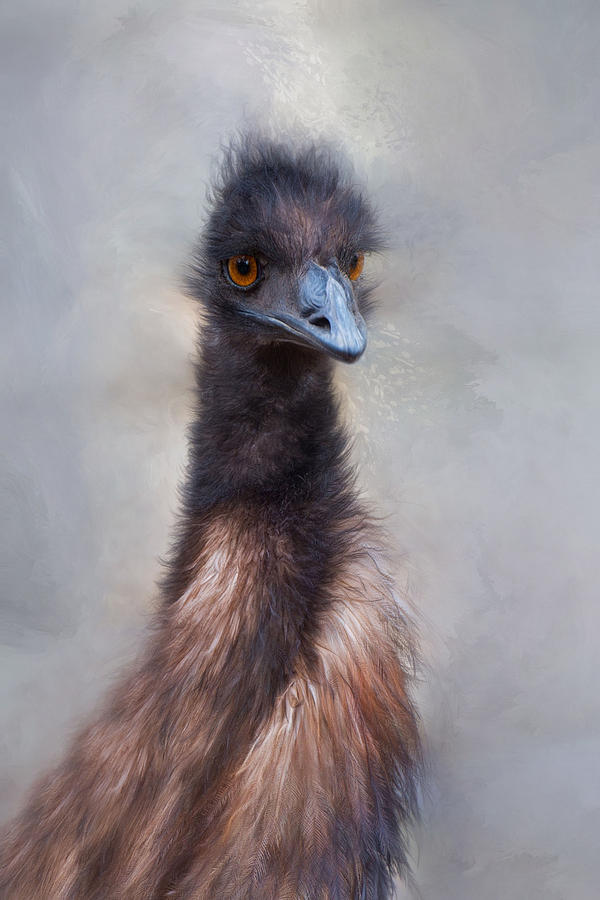 Emu Photograph by Robin-Lee Vieira