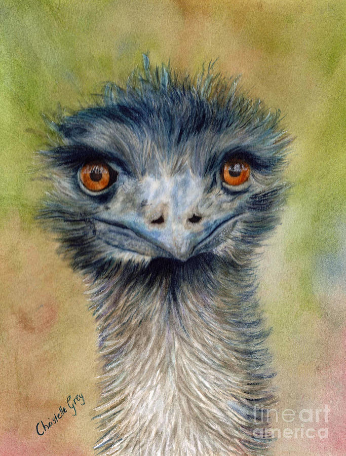 Emu Painting - Emusing by Christelle Grey