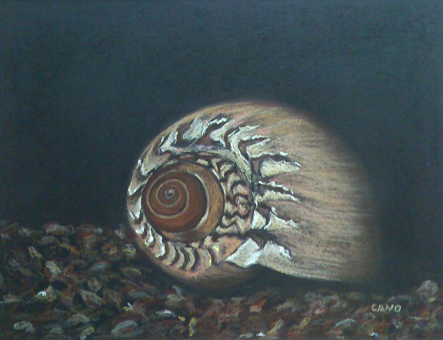 Conch Painting - En el mar by Rosa Mari Cano Membrado