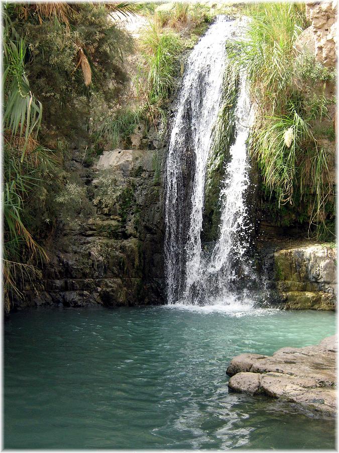 En Gedi - Where the Water Flows Photograph by Menucha Citron | Fine Art