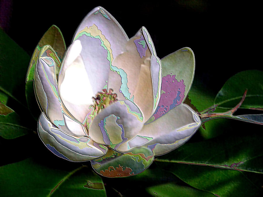 Enamel Magnolia Photograph by Carolyn Jacob