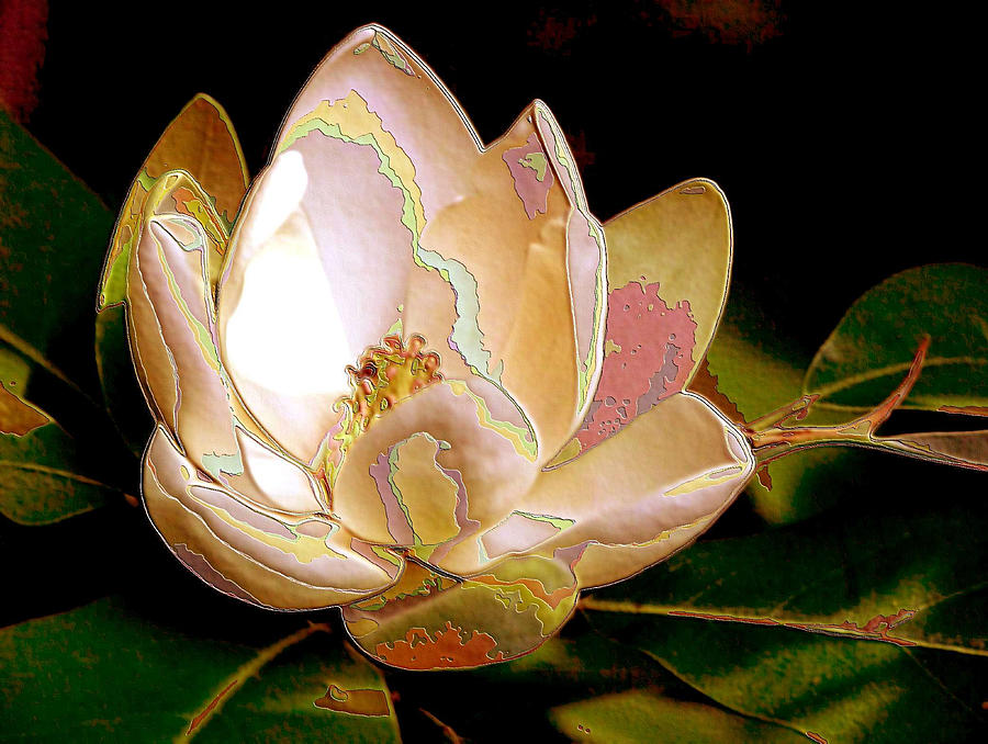 Enamel Magnolia in Bronze Photograph by Carolyn Jacob