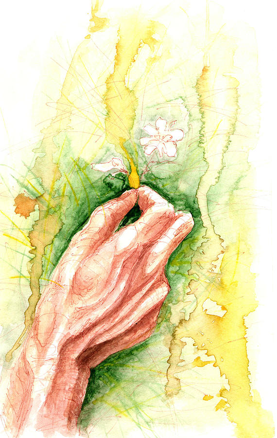 Enchanted Circle Wildflower Painting by Ashley Kujan