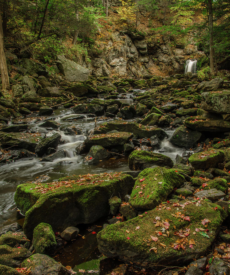 Enchanted Falls Photograph by Gales Of November