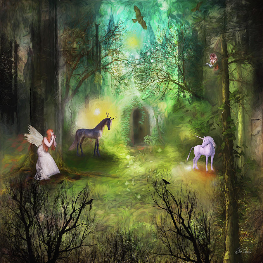 Enchanted Forest Photograph by Diana Haronis