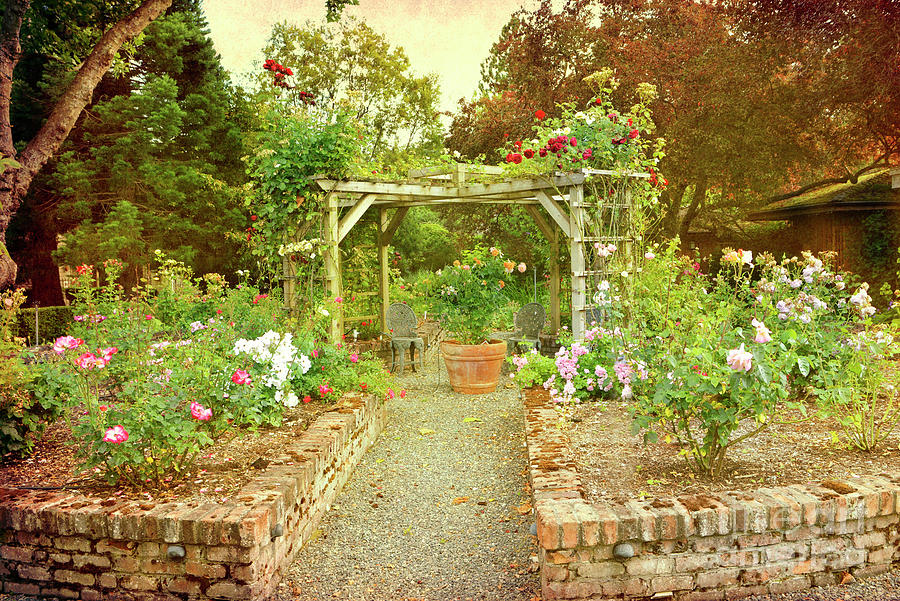 Enchanted Garden at Galiano Inn Photograph by Maria Janicki
