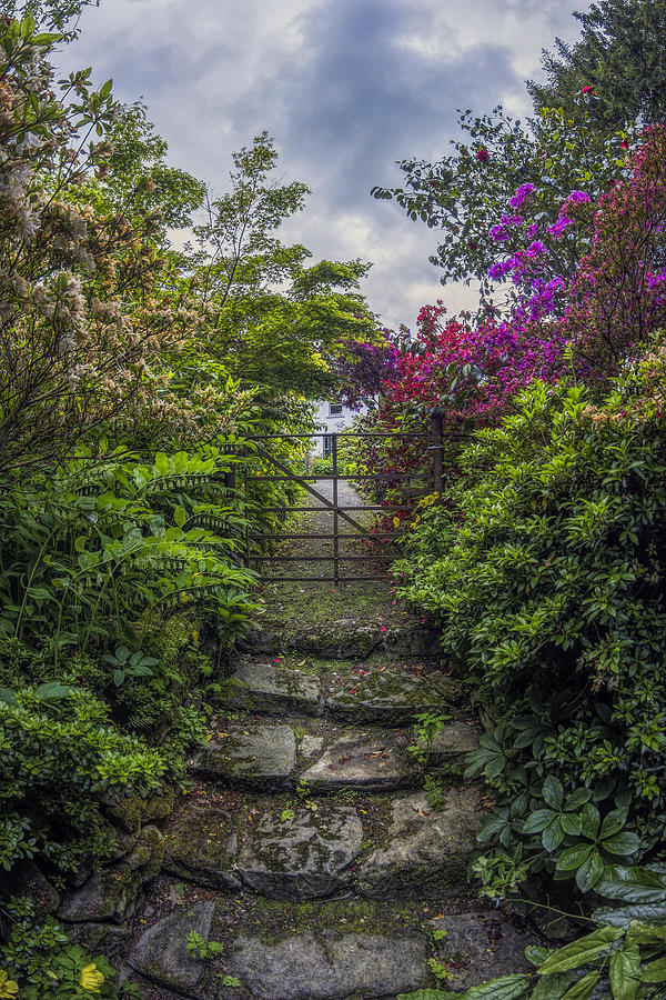 Enchanted Garden Photograph by Ian Mitchell