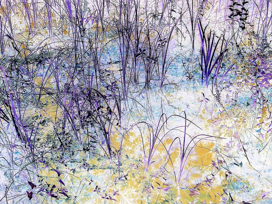 Enchanted by John Hintz Enchanted by John Hintz