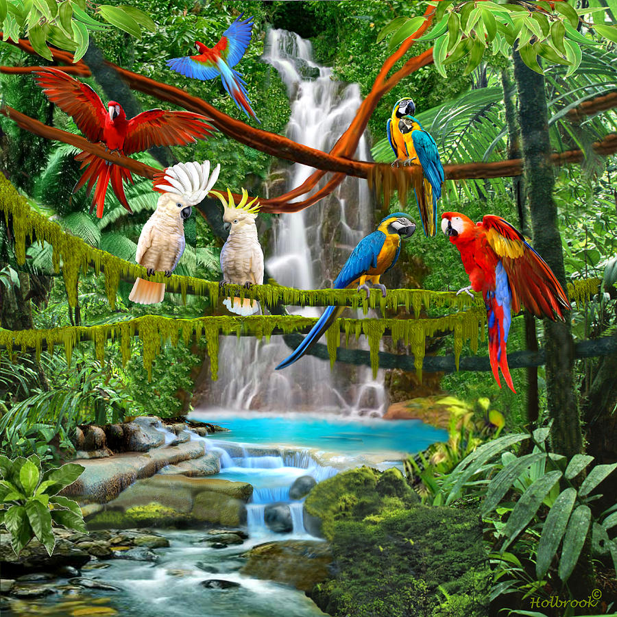 Waterfall Digital Art - Enchanted Jungle by Glenn Holbrook