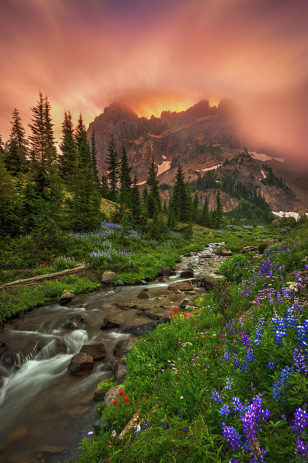 Enchanted Meadows Photograph by Chris Moore - Fine Art America