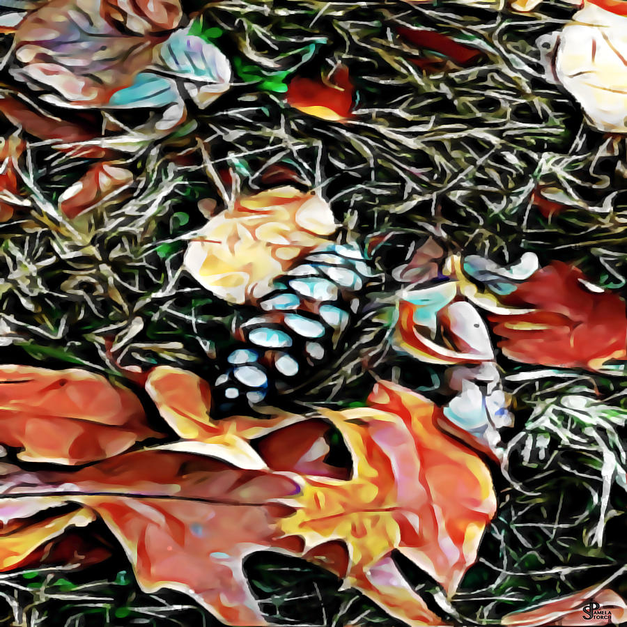 Nature Digital Art - Enchanted Pine Cone by Pamela Storch