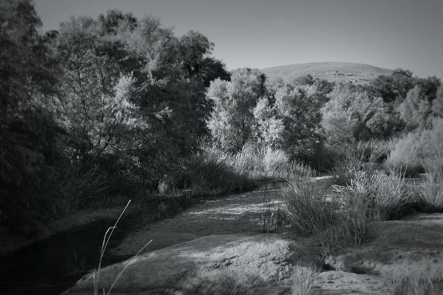Enchanted Rock in Black and White Photograph by Nadalyn Larsen