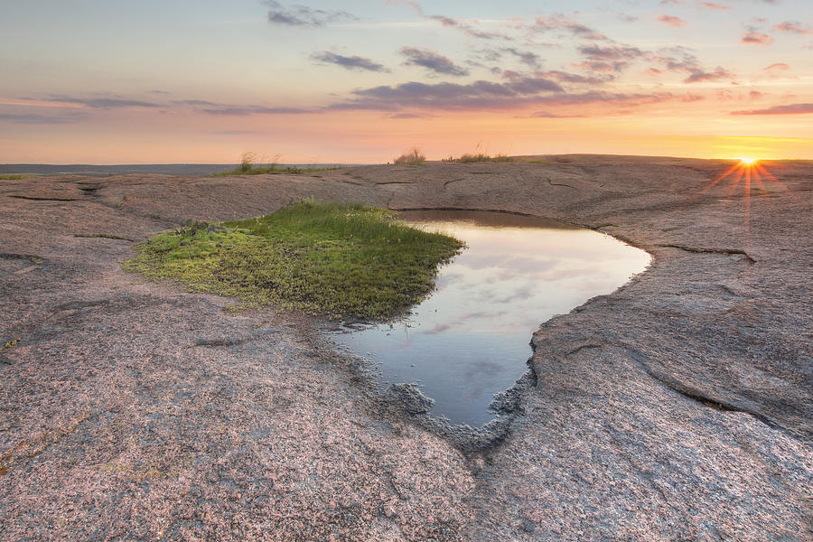 Enchanted Rock Vernal Pools - the Heart 1 Photograph by Rob Greebon