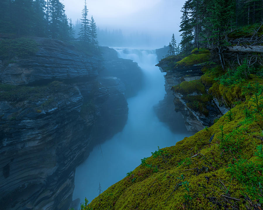Banff National Park Photograph - Enchanting Mist by Dustin LeFevre