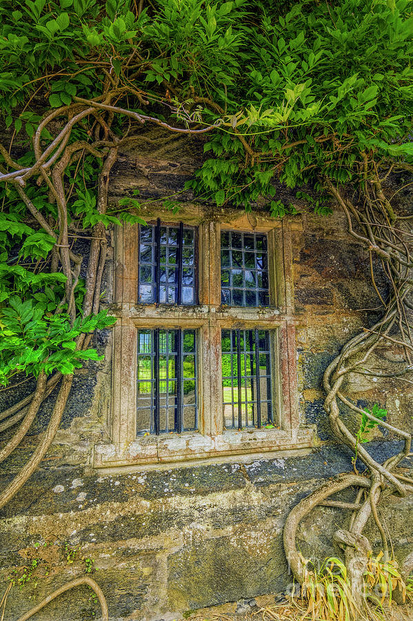 Enchanting Window Photograph by Ian Mitchell